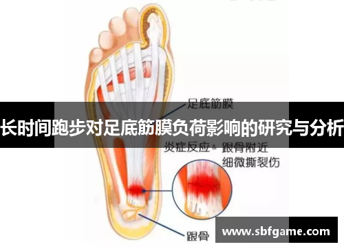 长时间跑步对足底筋膜负荷影响的研究与分析